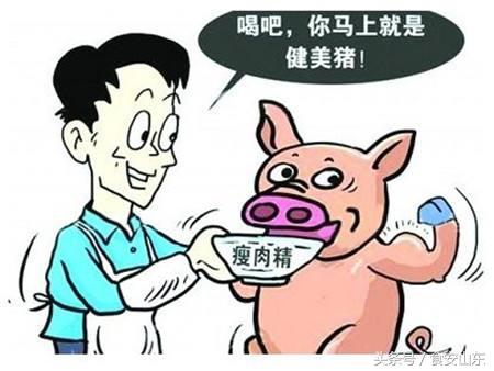 国产气相色谱仪在食品安全检测中都有哪些应用分析-气相色谱仪厂家_国产气相色谱仪_白酒分析气相色谱仪-山东谱析科学仪器有限公司