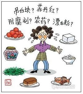 国产气相色谱仪在食品安全检测中都有哪些应用分析-气相色谱仪厂家_国产气相色谱仪_白酒分析气相色谱仪-山东谱析科学仪器有限公司