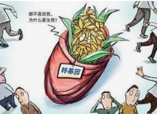 色谱仪厂家浅谈 液相色谱仪在食品行业的检测应用-气相色谱仪厂家_国产气相色谱仪_白酒分析气相色谱仪-山东谱析科学仪器有限公司